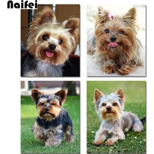 Diy Diamond Painting Yorkshire Terrier Cross Stitch Full Kits 5D Diy Diamond embroidery dog square/round Drill Home Decor Gift
