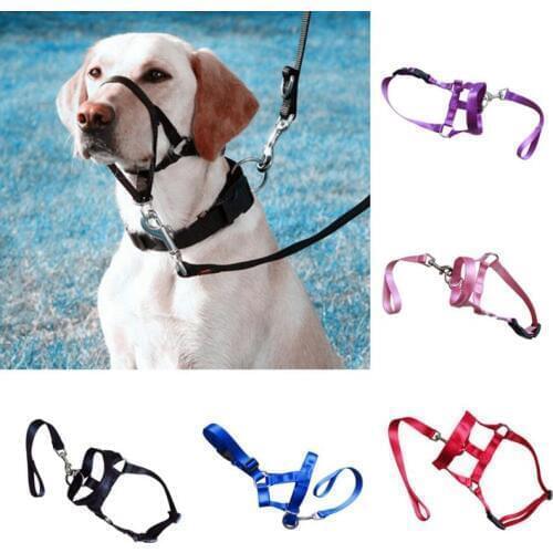 Nylon Dogs Head Collar Dog Training Halter Blue Red Black Colors S M L XL XXL Sizes