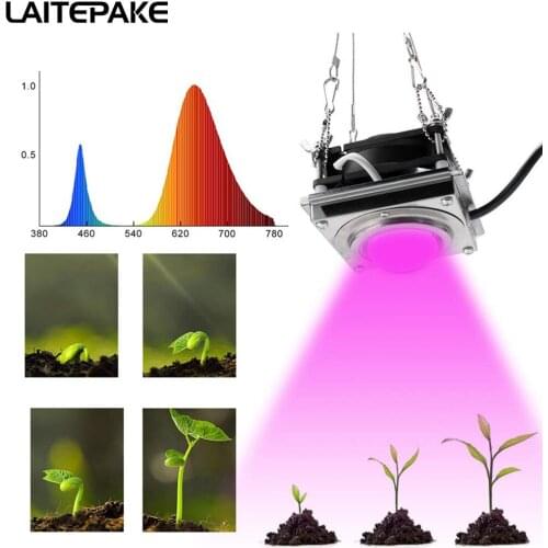 COB led grow light DIY Grow lamp Full spectrum red 4500K 180W Plant grow chip 18000LM led grow light for medical plant grow tent
