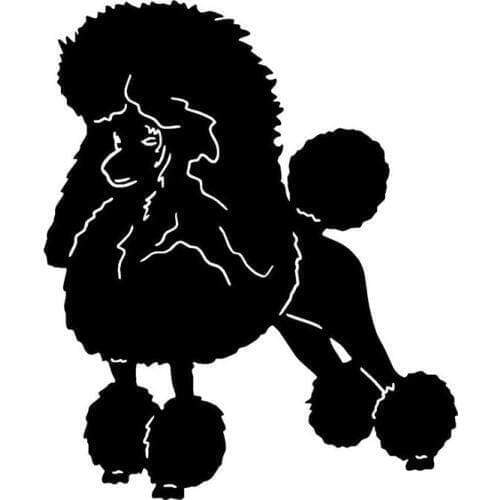 10.4*12.7CM Poodle Creative Cartoon Window Decal Cute Pet Dog Tail Decorative Stickers Car Accessories C6-0711