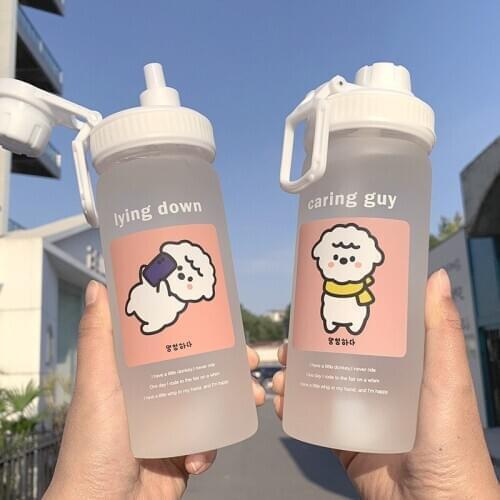 OAPE Double Wall Glass Cups