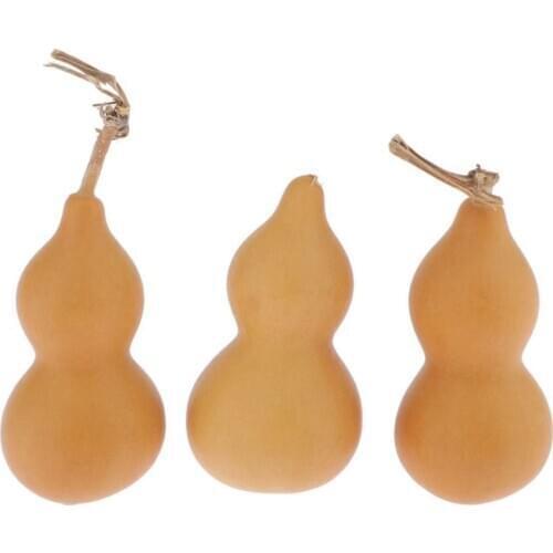 3 Pieces Natural Gourds Unpainted Crafts Home Key Chain Hanging Ornament