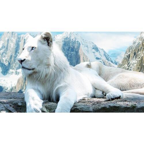 Diamond Mosaic Full Diamond Embroidery Lion DIY Diamond Painting Cross Stitch Resin Square/round Diamond Sets Deco