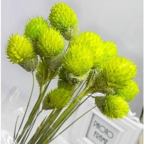 Nature Real Dried Berry Flowers DIY Floral Display Plant For Wedding Bouquet Home Room Party Gift Box Decor De Noel Droogbloemen