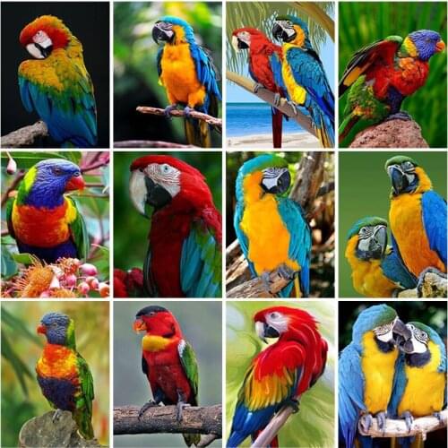 DIY Parrot 5D Diamond Painting Full Square Drill Animal Bird Diamond Embroidery Cross Stitch Mosaic Handmade Gift Wall Art