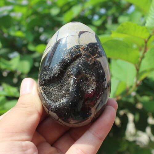 340g Natural curvature of the furnishing articles Turtle grain stone egg Ball Septarian nodule Fossil Crystal Healing quartz