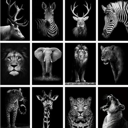 Diamond Painting Black White tiger Lion Elephant Full Round Drill Cross Stitch Animal Diamond Embroidery Sale Mosaic Crafts Kit