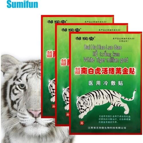 24pcs Vietnam Pain Relief Patches White Tiger Balm Plaster Back Arthritis Rheumatoid Joint Aches Medical Herbal Stickers D6716