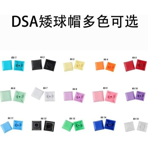 Dsa Profile 1u No Engraving PBT Keycaps Key Cap for Mechanical Keyboard MX Switches Many Color Option