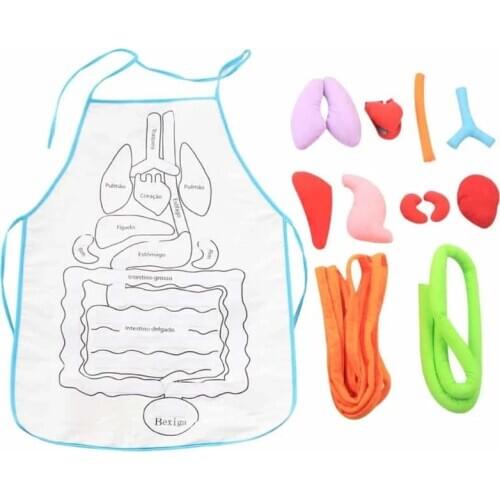 Fabric Baby Early Education Puzzle Apron, Washable Human Internal Organs Teaching Apron, Body Three-Dimensional Organ Apron