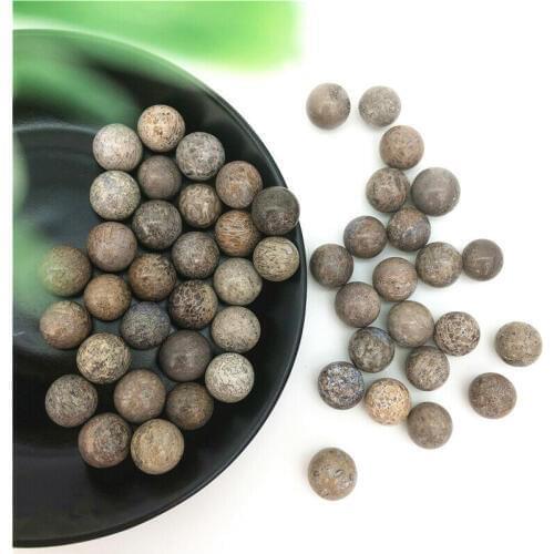 Drop Shipping Dinosaur Bone Fossil Ball Natural Fossil Stone Sphere Smooth Polished Healing Natural Stones And Crystals