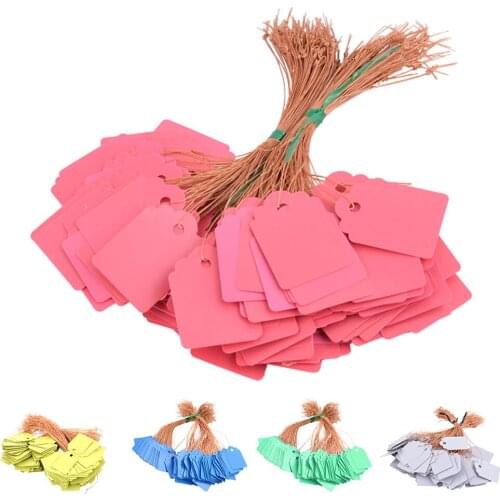 100pcs Garden Labels Plant Classification Sorting Sign Tag Ticket Plastic Writing Plate Board Plug In Card Colorful Waterproof