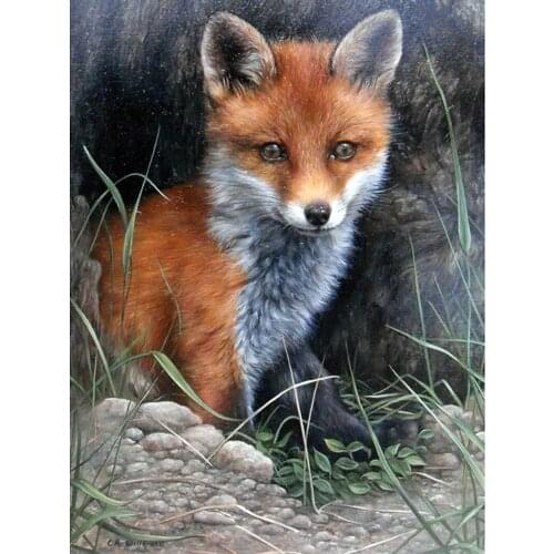 New 5D DIY Diamond Painting Home Decorations Lonely Fox Baby Diamond Embroidery Square Rhinestone Crafts Arts Paintings