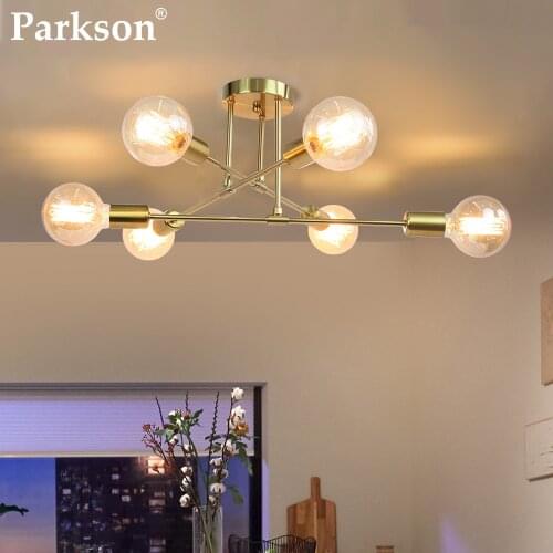 Parkson Ceiling Lamps