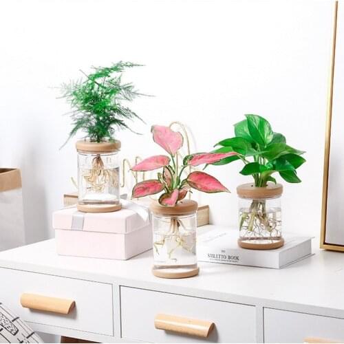 Dozzlor Decorative Vases