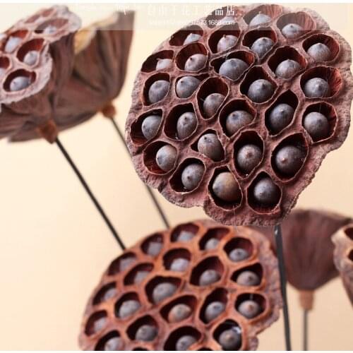 Natural Dry Lotus Original Decorative Flower Arranging Dried Flower Simulation Flower Home Decoration Wild Lotus Branches