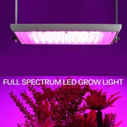 Maxziller Professional Lighting