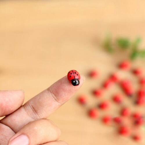 10Pcs Mini Ladybird Red Beetle Ladybug Fairy Doll House Garden Decor Ornament Q1FD