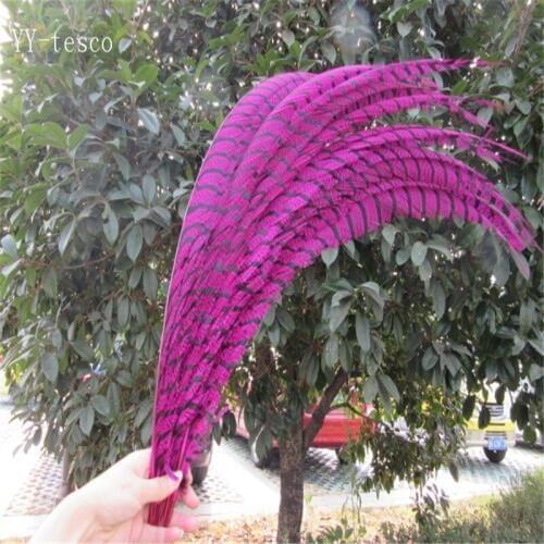 20pcs 32-36 inche/80-90cm Rose Lady Amherst Pheasant Feather pheasant feathers for carnival party costumes cosplay decoration