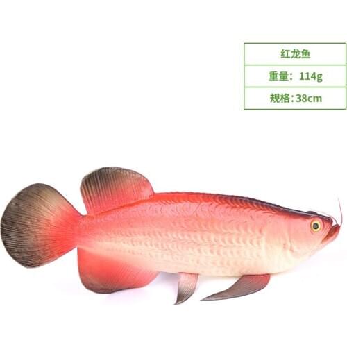 Simulation Of Arowana Simulated Fish Model Food Fake Kitchen Decoration Sketch Supplies Seafood Hotel Sea Life 2021