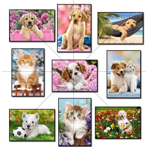 5D Diy Diamond Painting Animal Diamond Cross Stitch Crystal Diamond Sets Unfinished Full Diamond Embroidery Flower Cat