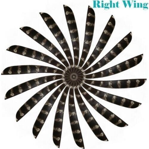 Luoyer 30pcs 5 Inch Turkey Feathers Fletching Left Wing Fletched for DIY Archery Target Arrow Crossbow Bolts