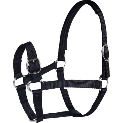 Adjustable Safety Halter Horse Riding Training Rope Thickened Horse Head Collar Riding Racing Equipment Training Rope