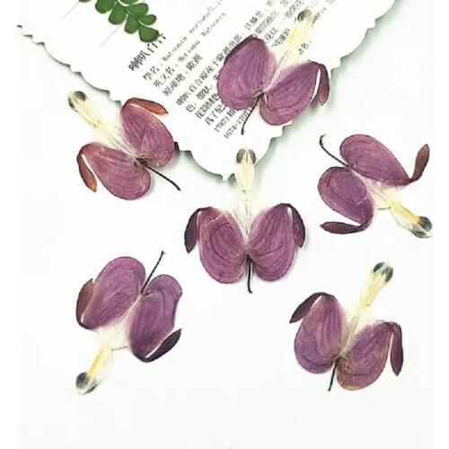 60pcs Pressed Dried Purple Flower Plant Herbarium For Make up Jewelry Postcard Bookmark Phone Nail art Case DIY
