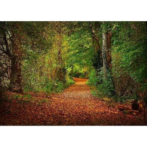 Forest Pathway Vinyl Photography Backgrounds for Wedding Lover Baby Children Backdrops Photo Studio Photobooth Photo Shooting