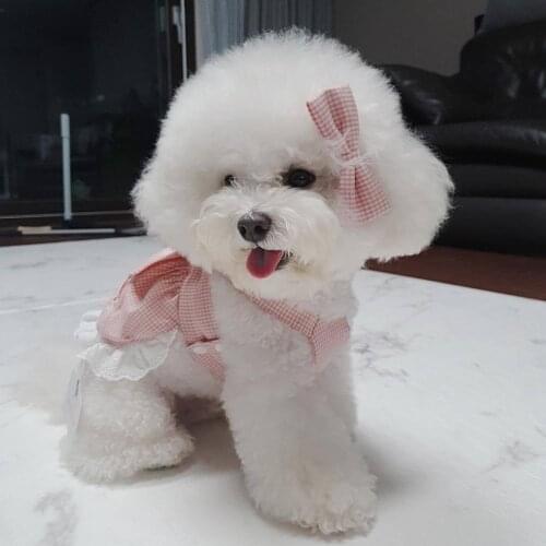 Dog dress wedding dress pet dog clothes pink dog dress puppy designer dog clothes yorkshire dress luxury dog clothes