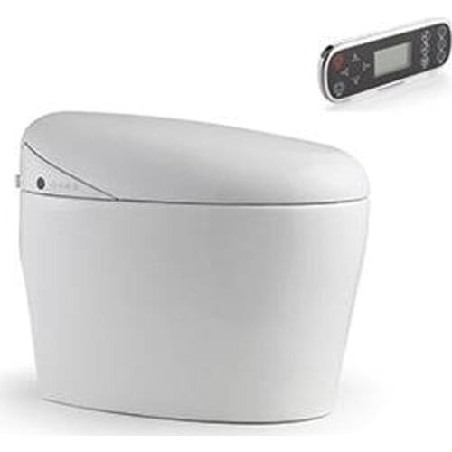 Chinese wc composting wall hung smart toilet