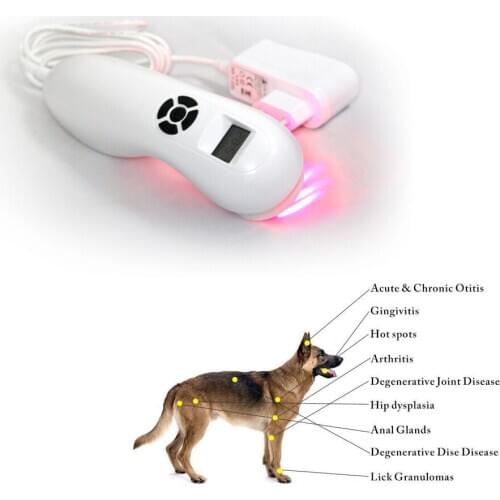 Laser treatment equipment for soft tissue, wound healing for Animal care medical grade