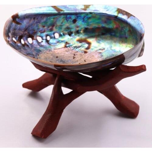 11-13cm Large Rainbow Abalone Shell Charm Beach Seashell Car Office House Decoration Natural Seashell Beautiful Colorful Sea