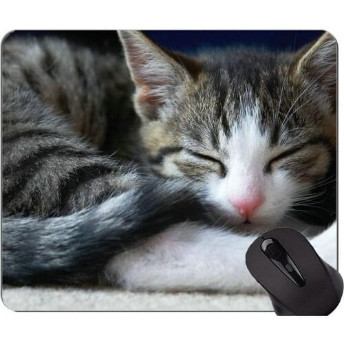 Gaming Mouse Pad Custom,Sleeping animal cat Non-Slip Rubber Base Mousepad