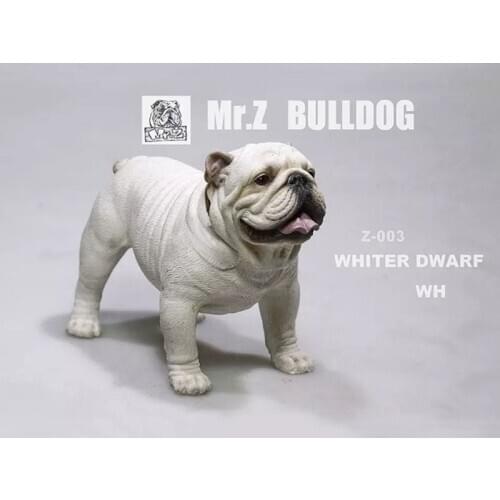 Mr.Z 11CM 1/6 Simulation Animal Dog English Bulldog Model Toy Kids Gifts F 12" Action Figure Scene Car Decoration Ornaments Show