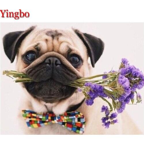 5D Diamond Painting Bulldog flower dog mr Diamond Embroidery Full square round drilling 5d Diamond Mosaic kits Home Decor new