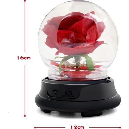 Preserved Fresh Flower Gift Box Little Prince Rose for Girlfriend Birthday Mother Dried Bouquet Led Decoration Christmas Gift