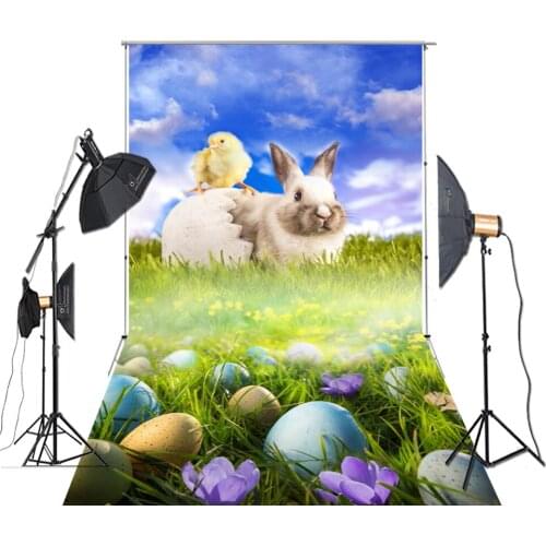 HUAYI Photography Backdrop Easter Decoration Rabbit Eggs Hatch Chicken Flower Background For Studio Photo XT-7064