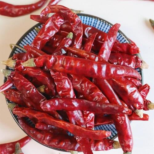 Indian Chili Dried Pure Natural Bonsai Four Spring Chili