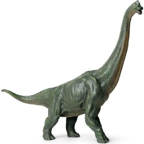 Пособия по биологии XINERJIA China At AliExpress