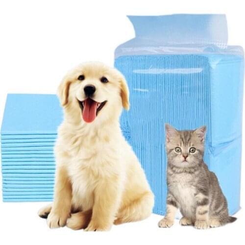 Chubby Catus Trainers For Dogs