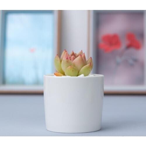 TECHOME Ceramic Pots