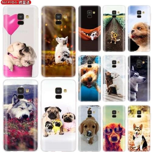 Phone Case for Samsung galaxy A21 A31 A41 A51 A71 A90 A80 A70 A60 A50 A40 A30 A20 A10 soft silicone Cases Cute Dog