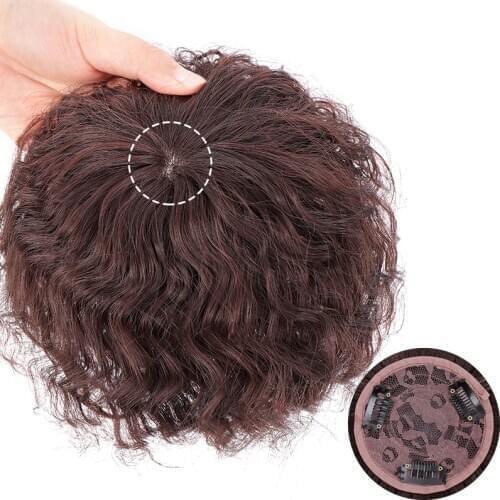 DIANQI Synthetic Hair Women High Temperature Wig Clip Female Wig Dark Brown Short Curly Clip Closure Hair Extension