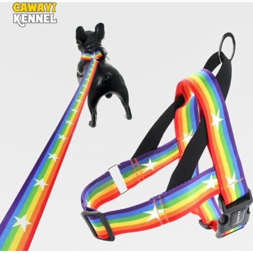 CAWAYI KENNEL Pet Harness + Leash Set Training Walking Leads for Small Cats Dogs rainbow Print Harness Collar Adjust Leashes Set