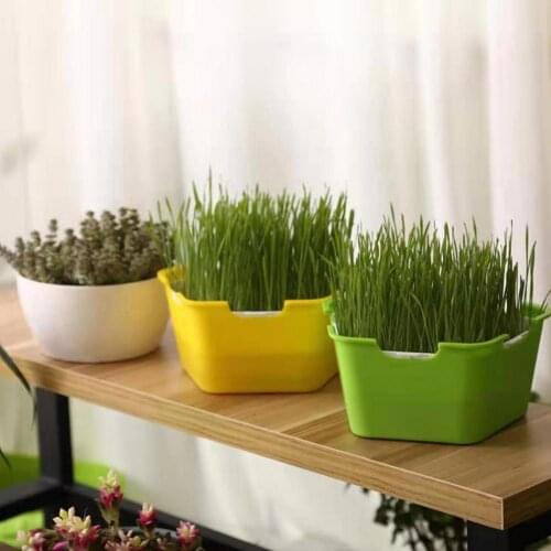 Nursery Pot Easy to Use Corrosion-resistant Plastic Sprout Planting Pot Box for Garden Nursery Pot