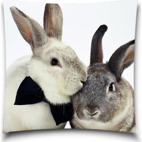 New Arrival Nutrual Animal Cute Rabbit Cushion Cover Home Decorative Throw Pillows Cases Cotton Polyester Sofa Car Seat 5 size