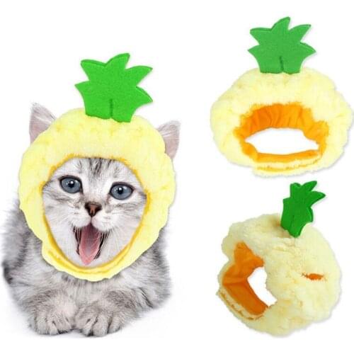 Pet Cat Dog Hat Cosplay Cap Fruit Pineapple Hat Apple Hat for Dogs Puppy Accessories Fashion Funny Cute Cos Winter Warm Costume