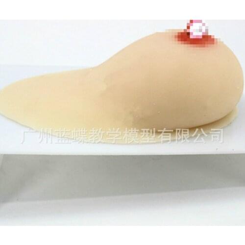 Breast model teaching aids for demonstration teaching in hospital prolactinists Training actagogue