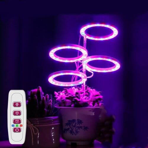 LED Angel Ring Grow Light Red and Blue Full Spectrum Phytolamp With Timer Dimming DC5V USB Phyto lamp For Indoor Plants Flowers